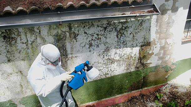 Top rated local Crawl Space Mold Remediation specialists in Portage, PA